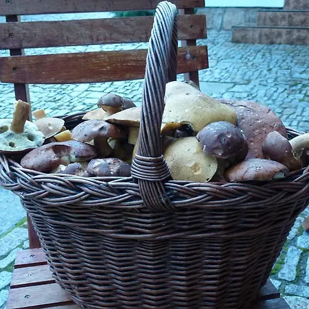 Konukevi Cas Český Rudolec