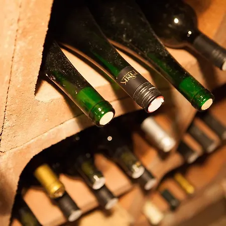 Cas ゲストハウス Český Rudolec