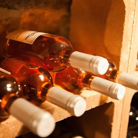 Cas ゲストハウス