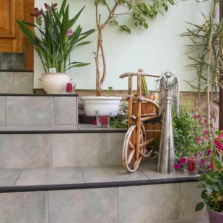 ゲストハウス Cas 3*