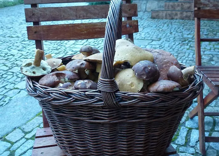Gasthof Cas Český Rudolec